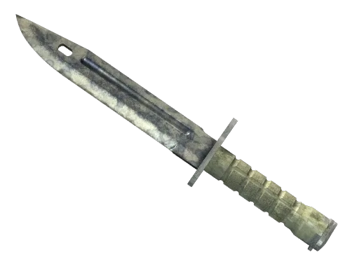 ★ Bayonet | Stained