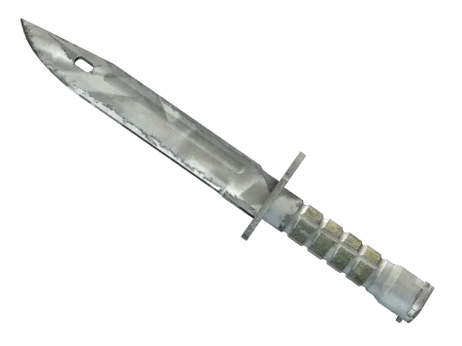 ★ Bayonet | Urban Masked