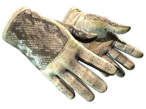 ★ Driver Gloves | King Snake