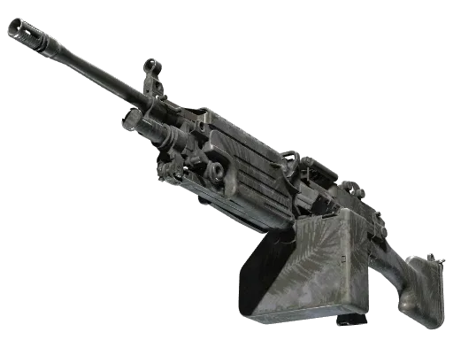 M249 | Midnight Palm