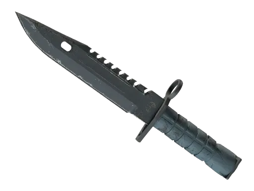 ★ M9 Bayonet | Night