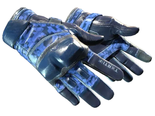★ Moto Gloves | Polygon