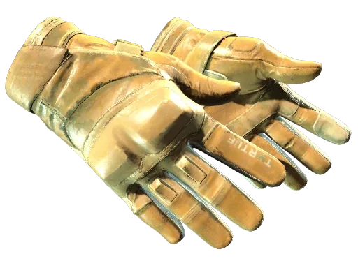 ★ Moto Gloves | Transport