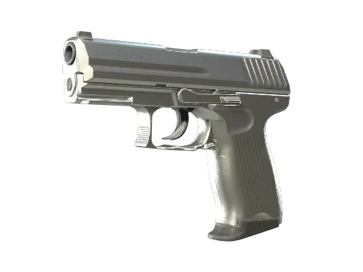 P2000 | Silver
