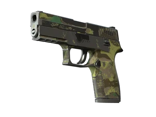 P250 | Boreal Forest