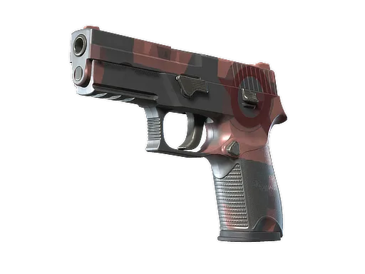P250 | Constructivist