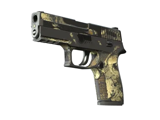 P250 | Contamination