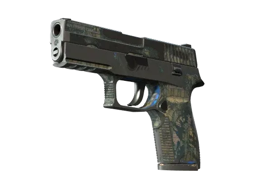 P250 | Exchanger