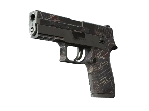 P250 | Facility Draft