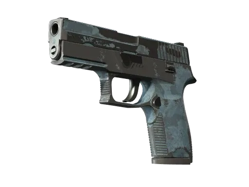 P250 | Forest Night