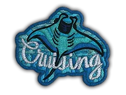 Patch | Cruising Ray