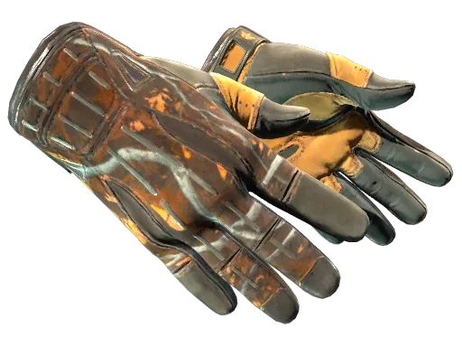 ★ Sport Gloves | Big Game