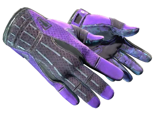 ★ Sport Gloves | Pandora's Box